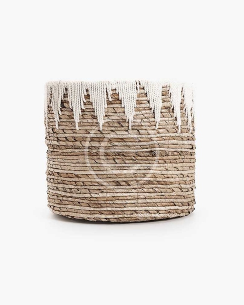 Plant basket